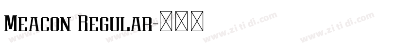 Meacon Regular字体转换 Meacon Regular字体转换